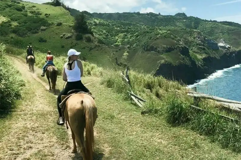 View the island beauty on this Maui Horseback Trip