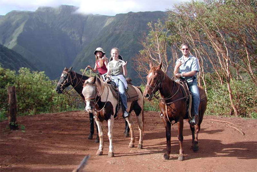 Maui Horseback