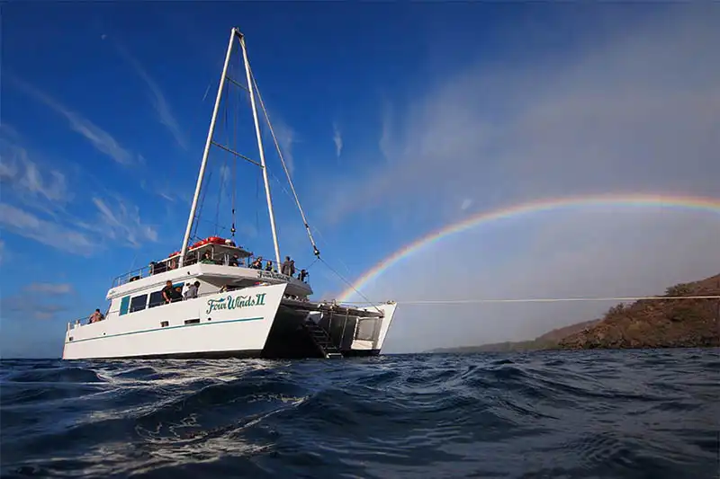 Snorkelers exploring vibrant coral reefs at Molokini Crater in Maui